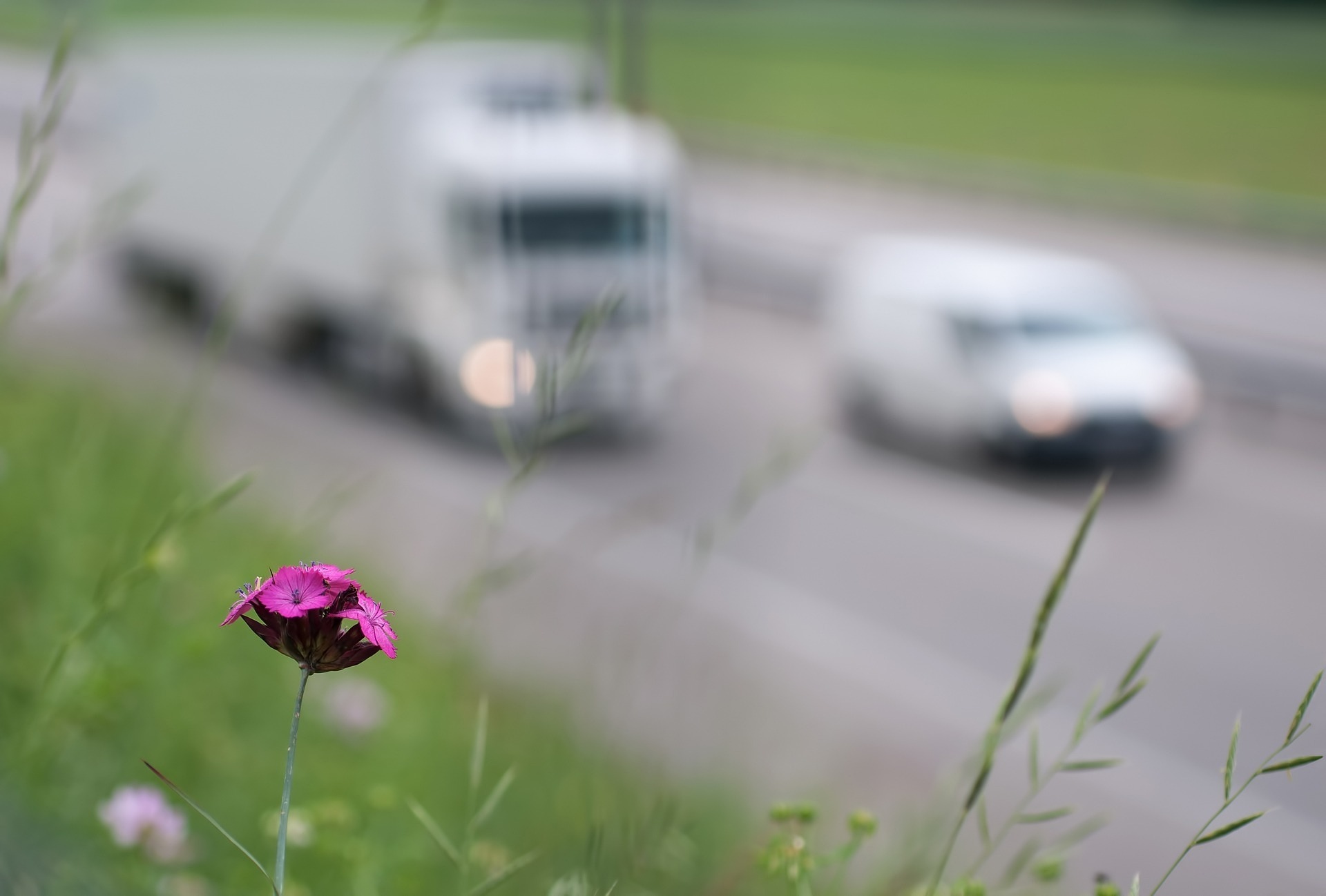 Symbolbild Umwelt und Verkehr